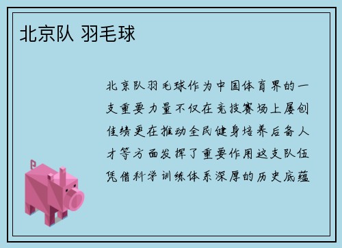 北京队 羽毛球