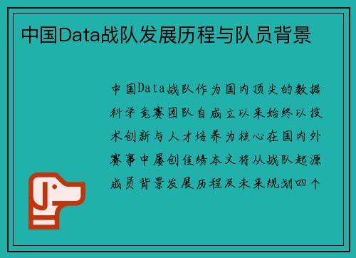 中国Data战队发展历程与队员背景